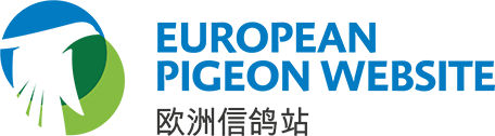 European Pigeon Website